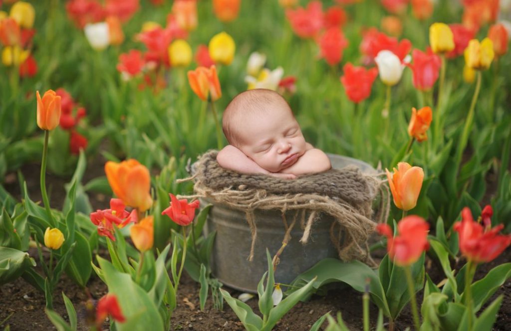 פרחים לכל אירוע לתינוק שנולד